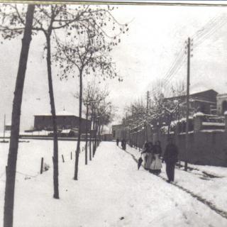 Nevada Gener de l'any 1915, encreuament de la Rambla Sant Sebastià/carretera de Sant Adrià, encara no estava la carretera de Sant Andreu. 