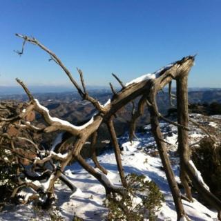 Imatge de neu i gel al Parc Natural del Parc de Sant Llorenç del Munt i Serra de l'Obac