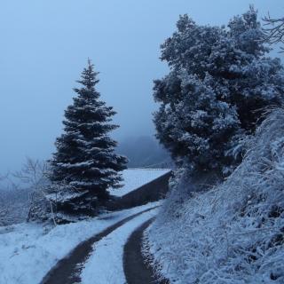 la nevada d'avui a casa, entre Montseny i Collformic
