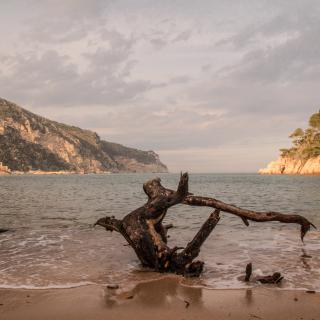 La Platja d'Aiguablava una tarda de primavera