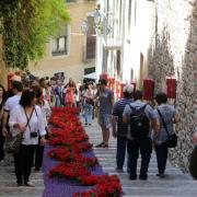 Girona: Temps de Flors, fotos de ambient per veure las aglomaracions de gent.  457#Joan Sabater