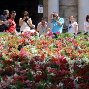 Girona.  60a edició de Temps de Flors, feu fotos d'ambient i d'altres espais, com ara el Modern, que es reobra, i el riu Onyar, que torna a estar guarnit.  1226#Quim Puig