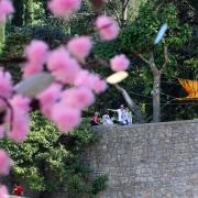 Girona: Temps de Flors, ruta de patis  1226#Quim Puig