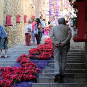 Girona: Temps de Flors, ruta de patis  1226#Quim Puig