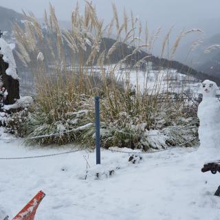 Imatges de la nevada a Ribes de Freser