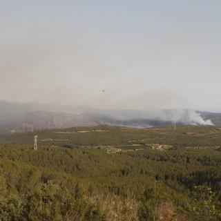 La columna de fum a l'incendi d'Olivella, des del Penedès