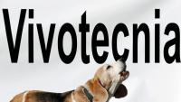 Un gos 'beagle', a la protesta d'aquest dissabte contra l'experiment de Vivotecnia