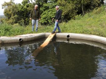 La rampa de fusta que s’ha instal·lat a una de les basses de Can Rubí amb Daniel Guinart, biòleg del Parc Natural, i Josep Maria Pujol, del viver Ramon Ferrandis
