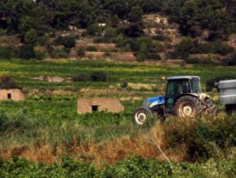 Un tractor passant per un camí al costat d'uns masos a la zona del Camp de Tarragona ACN