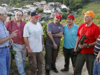 Un grup de caçadors a les vinyes del sud de la comarca on han fet aguaits nocturns Griselda Escrias