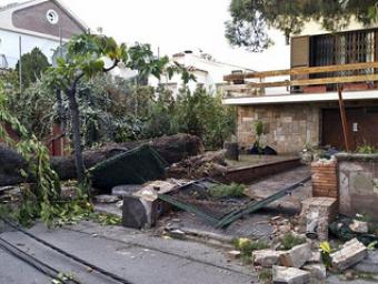 Moltes cases particulars van patir importants danys a les tanques per la caiguda d’arbres
