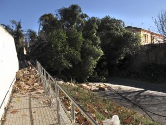 L’arbre caigut al carrer Vinyals, a la Garriga Ramon Ferrandis