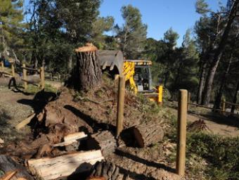 Una màquina retirant fusta a la zona d’El Farell, a Caldes Ramon Ferrandis