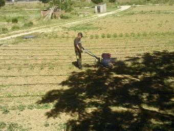 El casal d’estiu es farà en aquests horts socials que gestiona la cooperativa Tarpuna a la finca de Can Codina de Mogent