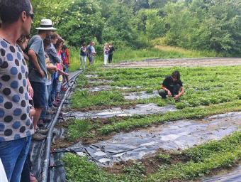 Ester Comas, al centre, mostrant com es cultiven les herbes aromàtiques en una de les parcel·les de Mas Vinyoles Xavier Bardolet