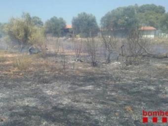 Zona afectada per l'incendi de Vila-rodona, aquest dilluns Bombers de la Generalitat