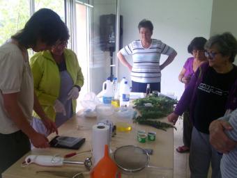 Un moment del taller d’herbes remeieres Mancomunitat La Plana