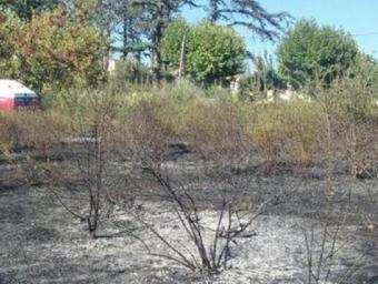 Matolls cremats a Les Borges del Camp Bombers de la Generalitat