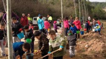 Els nens i nenes planten arbres durant la jornada Cedida