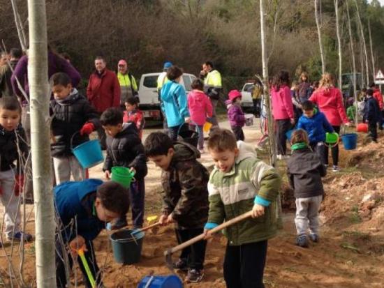 Els nens i nenes planten arbres durant la jornada Cedida