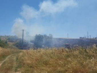 Un foc crema dues hectàrees a la Panadella Info Anoia