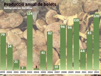 Producció anual de bolets