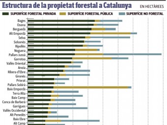 Gràfic sobre l'estructura jurídica dels boscos a Catalunya EVA HERNÁNDEZ