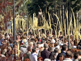 El diumenge de Rams representa el dia de la palma blanca.  ARXIU