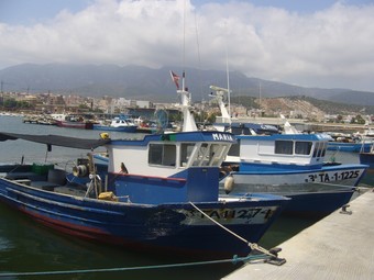 Embarcacions pesqueres amarrades al port de la Ràpita.  L.M