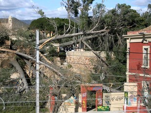 Arbres caiguts sobre l'estació de les Borges del Camp.  EFE