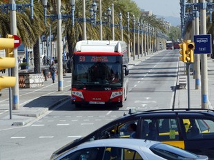 El carril bus del passeig Colom és «el millor» que hi ha a la ciutat de Barcelona segons l'associació per a la Promoció del Transport Públic.  ANDREU PUIG