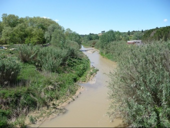 Imatge del riu Anoia, a l'alçada de l'empresa Laboratoris Glower, el titular del qual és acusat d'avocaments. A.M