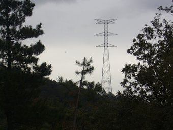 Una torre de la línia de 400 kV, en el terme municipal de Santa Coloma de Farners. JORDI COLOMER