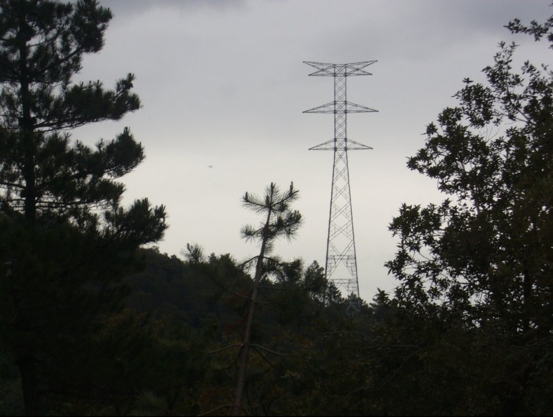 Una de les torres de la MAT en el seu pas per una zona de la Selva interior. J. COLOMER