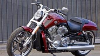 La imatge poderosa i espectacular de la V-Rod Muscle és un aparador idoni del que arriba a oferir el motor Revolution, amb el bloc en forma de V, de Harley.