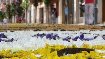 La festa de les Enramades comença amb el popular concurs de catifes de flors naturals als carrers de la vila.  LAURA JUANOLA