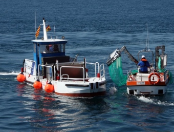 Una embarcació del tipus “Pelícan” realitza tasques de neteja. EL PUNT