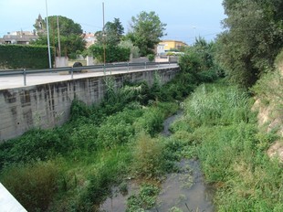 La riera d'Alguema a l'entrada del municipi de Santa Llogaia.  J.P