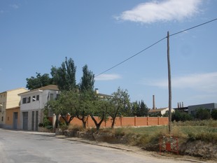 Una de les finques de l'horta de Sant Vicent, a Tortosa. G.M