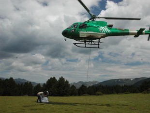 Un helicòpter portant la sal dels animals a la muntanya.