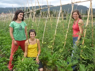L'Alba, l'Annaïs i la Mònica a l'hort agroecològic situat en una finca a Montblanc. C.G