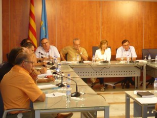 El ple municipal que va aprovar portar la delimitació de les illes Formigues als jutjats A.V