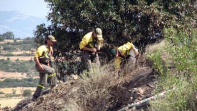 Tres Agents Rurals investigant les causes de l'incendi al lloc on suposadament es va iniciar, a la Donzell d´Urgell.