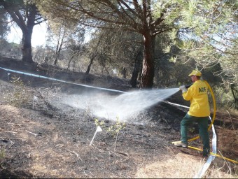 Tasques d'extinció d'un incendi forestal a Sant Feliu de Guíxols EL PUNT AVUI
