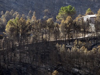 L'incendi va cremar més de 1.000 hectàrees a Horta de Sant Joan.  JUDIT FERNÁNDEZ
