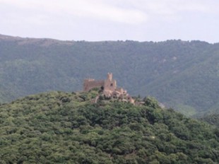 Els entorns del castell són molt boscosos.