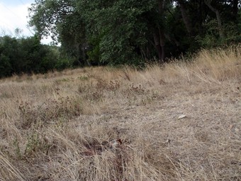 Indret de la Sureda, a Torrent, on va morir el caçador Juan García Castillejo, de Palafrugell.  ACN
