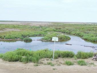 La finca que es comprarà és al costat de Buda.  A.S