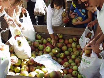 La parada de pomes se situa un any més a la plaça de l'Església.  O. MAS