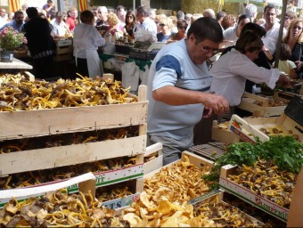 Les fires de bolets són el lloc ideal per trobar-ne d'autòctons i de qualitat. J.C